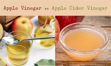 white vinegar vs apple cider.